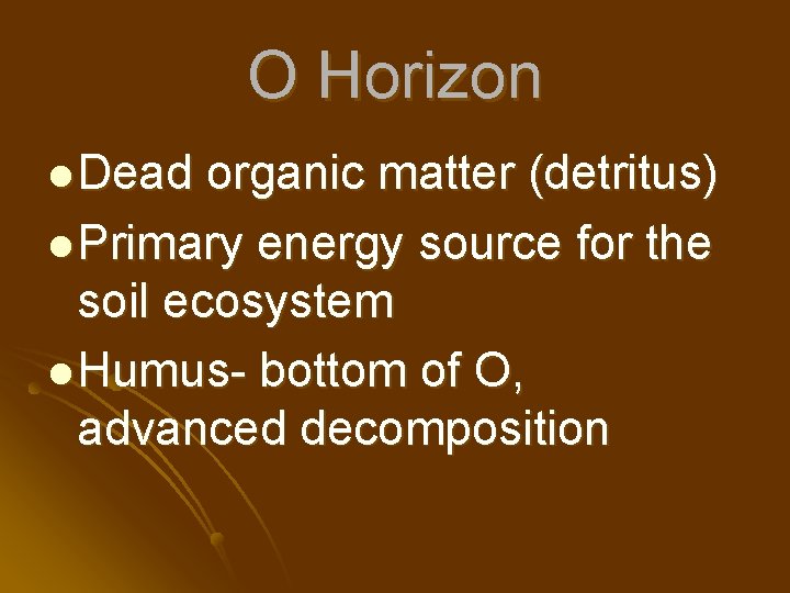 O Horizon l Dead organic matter (detritus) l Primary energy source for the soil