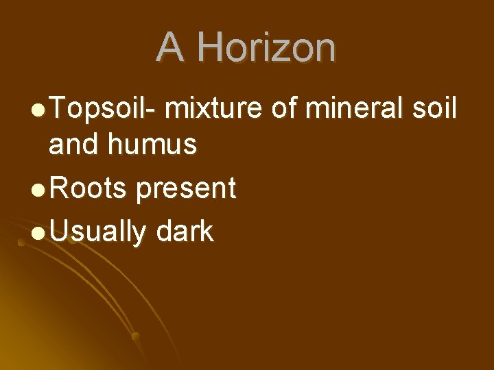 A Horizon l Topsoil- mixture of mineral soil and humus l Roots present l