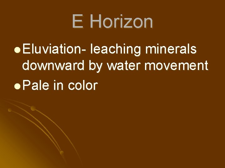 E Horizon l Eluviation- leaching minerals downward by water movement l Pale in color