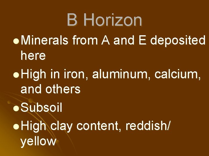 B Horizon l Minerals from A and E deposited here l High in iron,