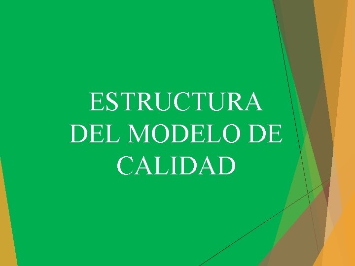ESTRUCTURA DEL MODELO DE CALIDAD 