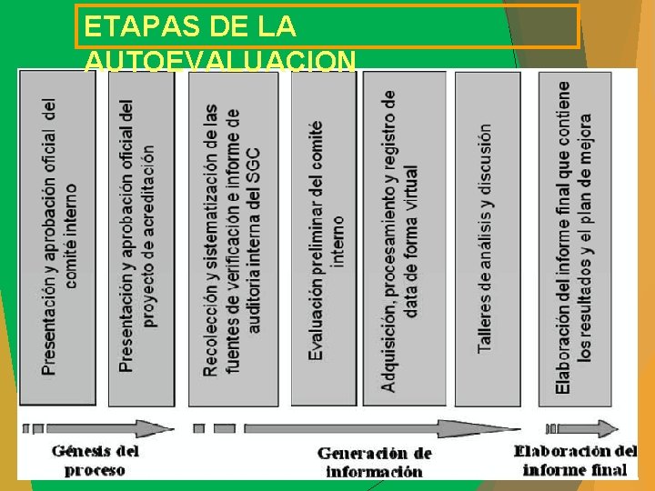 ETAPAS DE LA AUTOEVALUACION 