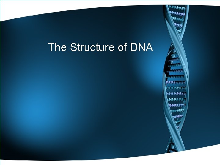 The Structure of DNA 