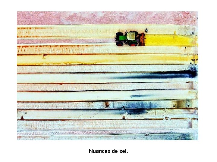 Nuances de sel. Nuances de sel.