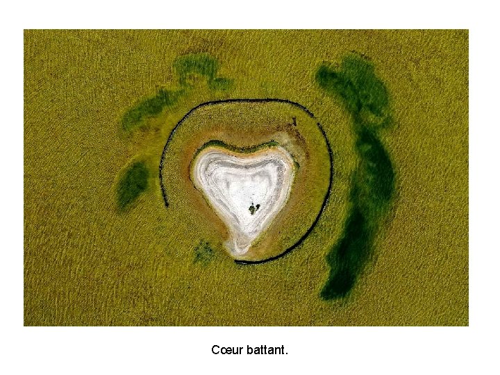 Cœur battant. Cœur battant.