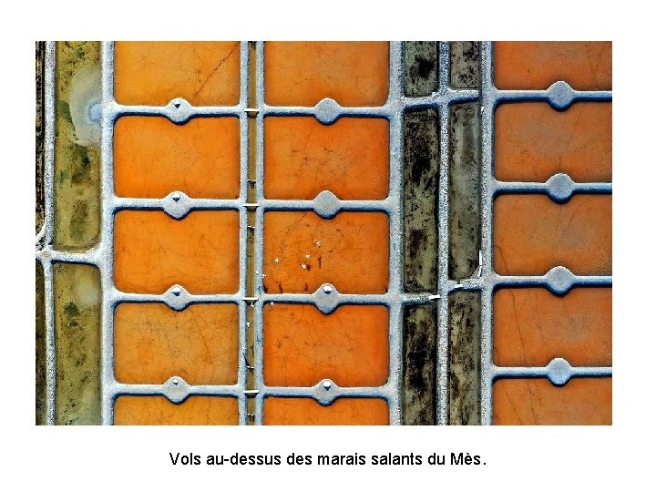 Vols au-dessus des marais salants du Mès. Vols au-dessus des marais salants du Mès.