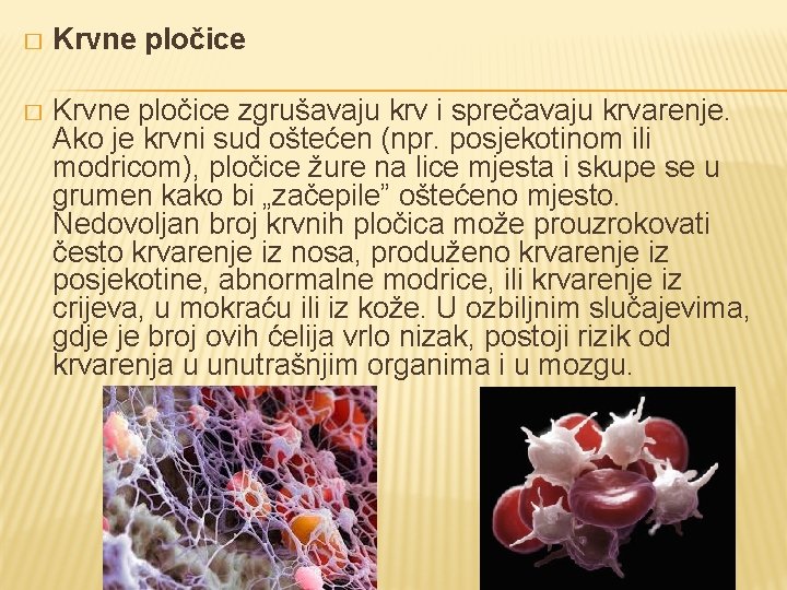 � Krvne pločice zgrušavaju krv i sprečavaju krvarenje. Ako je krvni sud oštećen (npr.