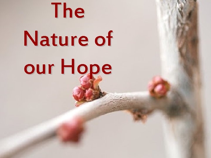 The Nature of our Hope 