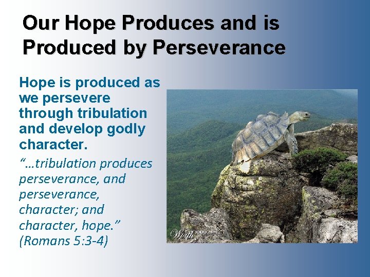 Our Hope Produces and is Produced by Perseverance Hope is produced as we persevere