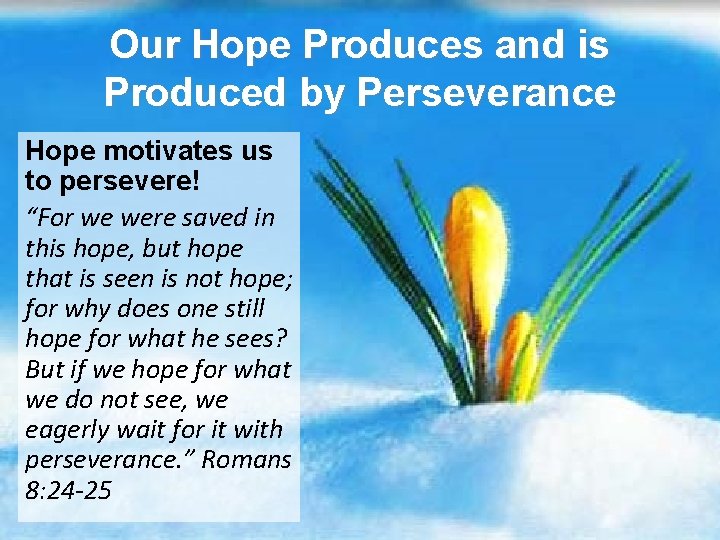 Our Hope Produces and is Produced by Perseverance Hope motivates us to persevere! “For