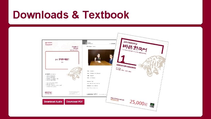 Downloads & Textbook 
