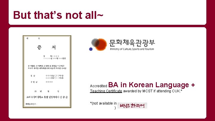 But that’s not all~ BA in Korean Language + Accredited Teaching Certificate awarded by