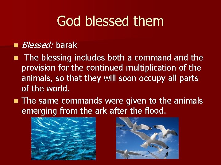 God blessed them n Blessed: barak The blessing includes both a command the provision