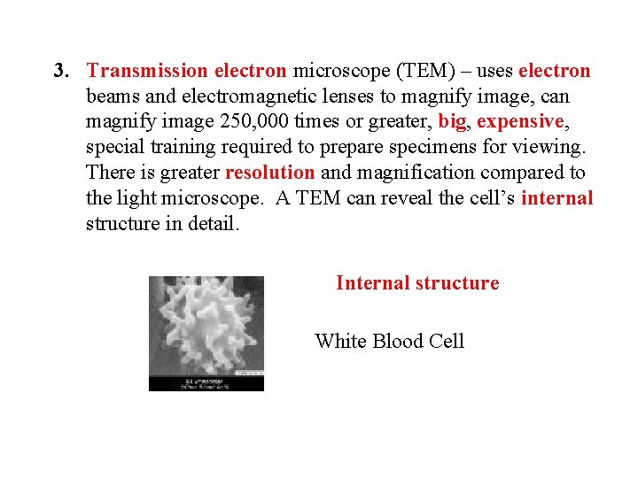 3. Transmission electron microscope (TEM) – uses electron beams and electromagnetic lenses to magnify