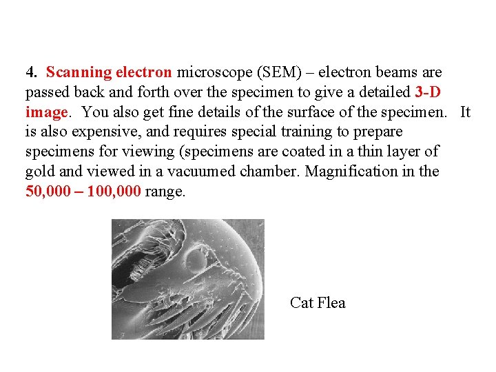 4. Scanning electron microscope (SEM) – electron beams are passed back and forth over