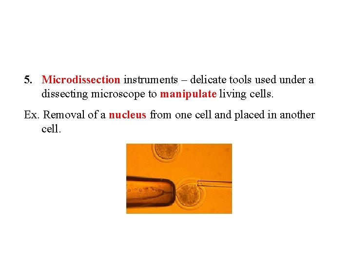 5. Microdissection instruments – delicate tools used under a dissecting microscope to manipulate living