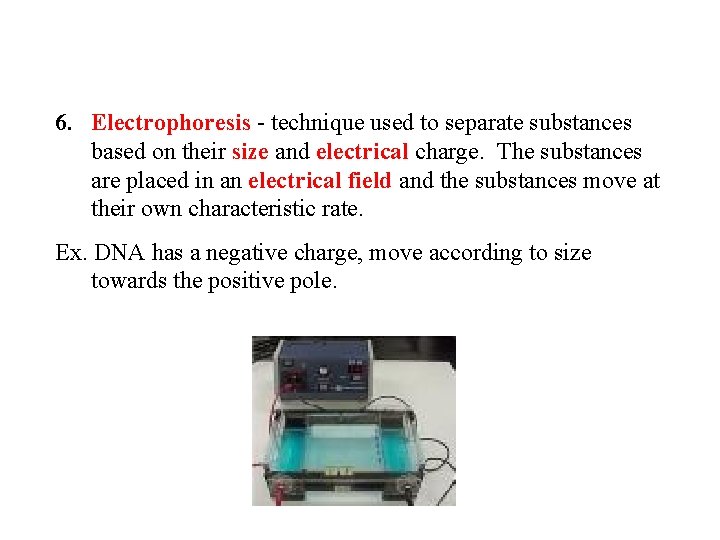 6. Electrophoresis - technique used to separate substances based on their size and electrical