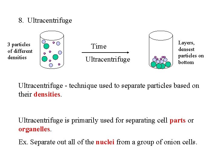 8. Ultracentrifuge 3 particles of different densities Time Ultracentrifuge Layers, densest particles on bottom
