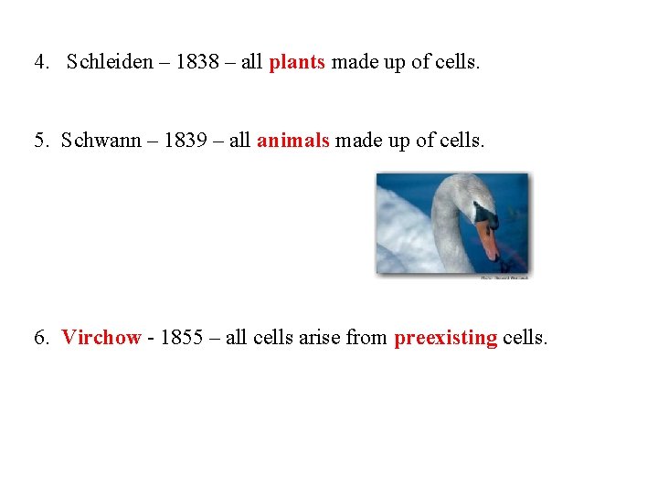 4. Schleiden – 1838 – all plants made up of cells. 5. Schwann –