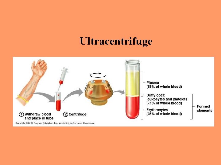 Ultracentrifuge 