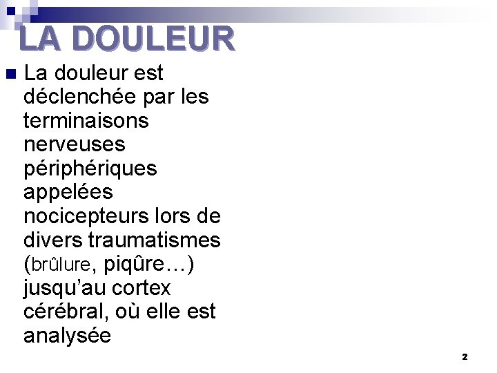 LA DOULEUR n La douleur est déclenchée par les terminaisons nerveuses périphériques appelées nocicepteurs