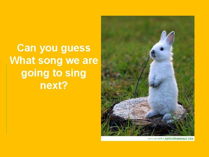 Can you guess What song we are going to sing next? 