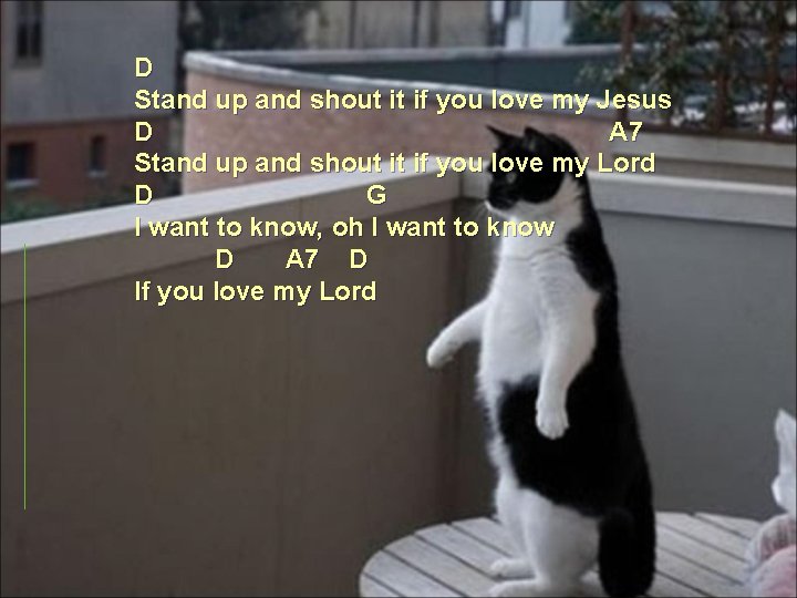 D Stand up and shout it if you love my Jesus D A 7