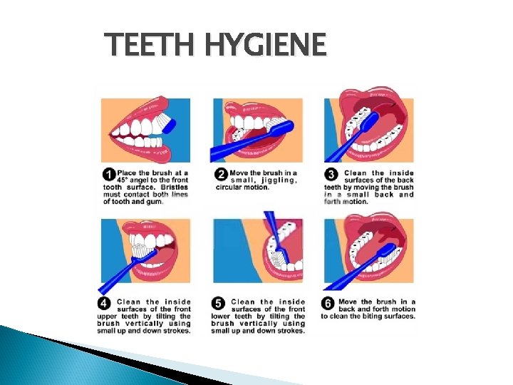 TEETH HYGIENE 