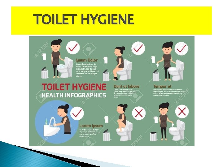 TOILET HYGIENE 