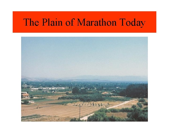 The Plain of Marathon Today 