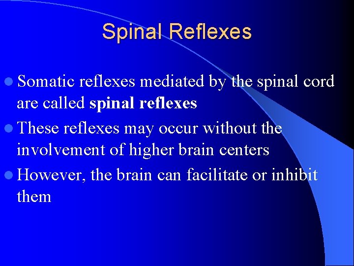 Spinal Reflexes l Somatic reflexes mediated by the spinal cord are called spinal reflexes