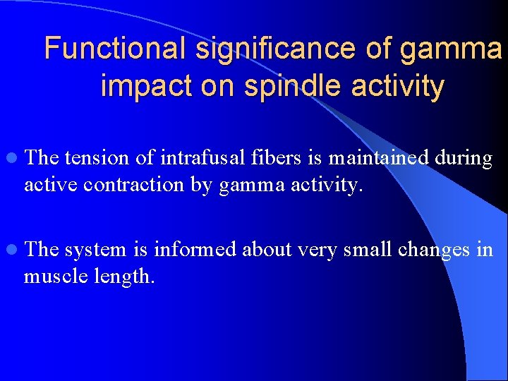 Functional significance of gamma impact on spindle activity l The tension of intrafusal fibers