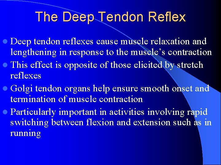The Deep Tendon Reflex l Deep tendon reflexes cause muscle relaxation and lengthening in