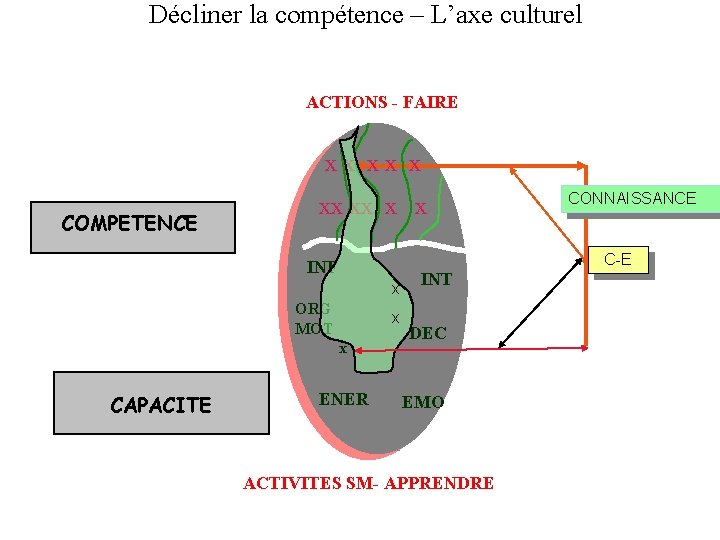 Décliner la compétence – L’axe culturel ACTIONS - FAIRE xx xx x COMPETENCE xx