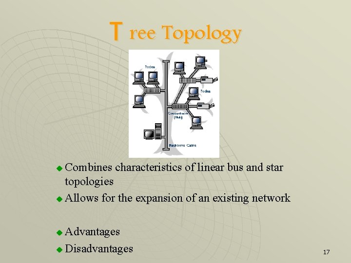 T ree Topology Combines characteristics of linear bus and star topologies u Allows for