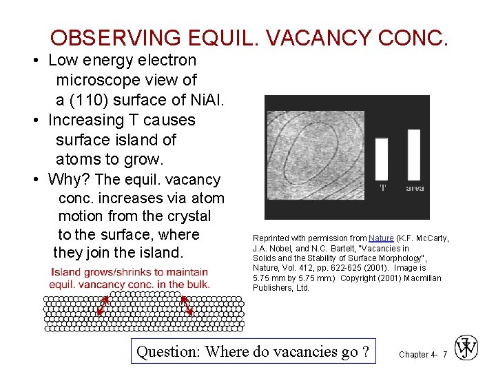 OBSERVING EQUIL. VACANCY CONC. • Low energy electron microscope view of a (110) surface