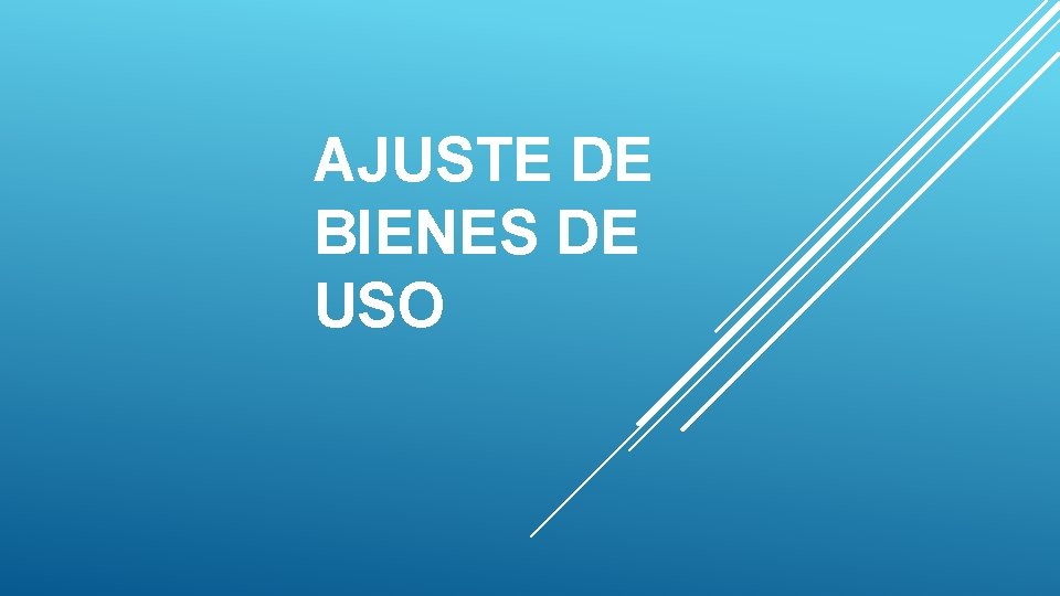 AJUSTE DE BIENES DE USO 