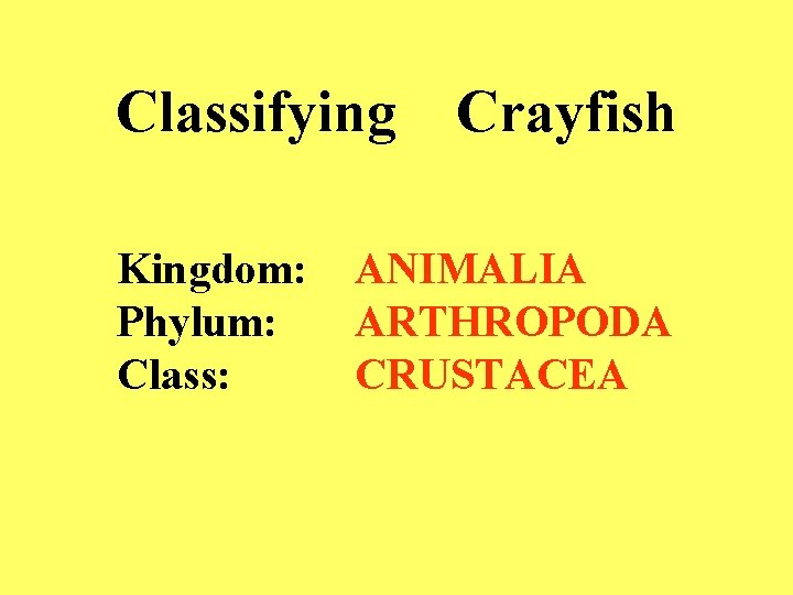 Classifying Kingdom: Phylum: Class: Crayfish ANIMALIA ARTHROPODA CRUSTACEA 