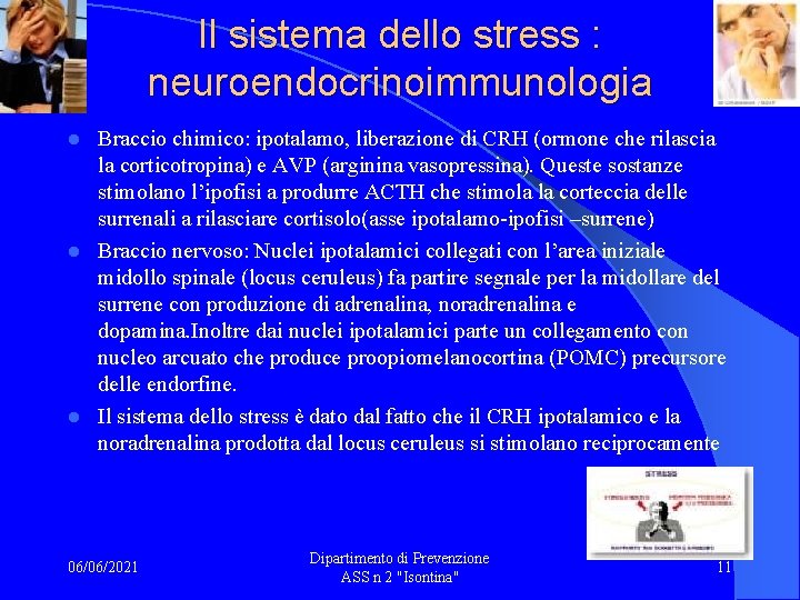 Il sistema dello stress : neuroendocrinoimmunologia Braccio chimico: ipotalamo, liberazione di CRH (ormone che