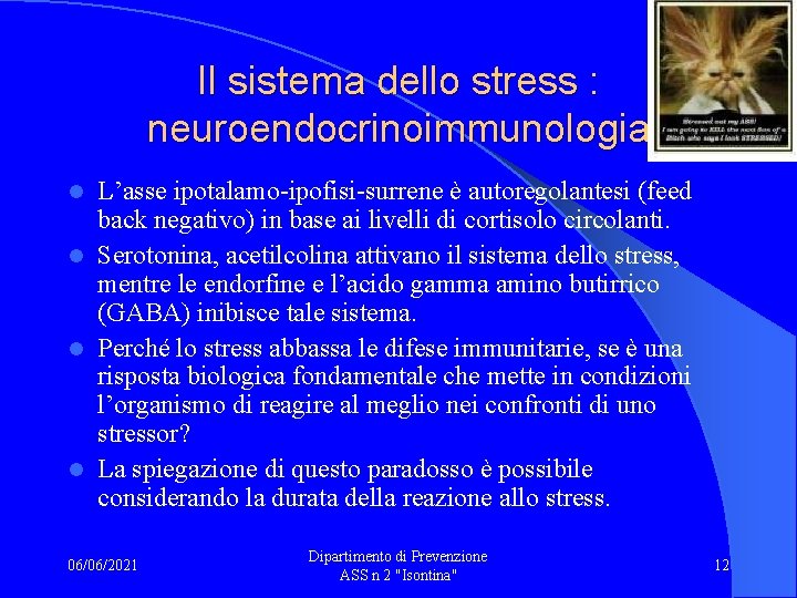 Il sistema dello stress : neuroendocrinoimmunologia L’asse ipotalamo-ipofisi-surrene è autoregolantesi (feed back negativo) in