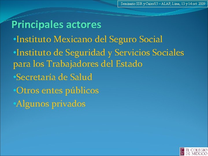 Seminario SSR y Cairo/15 – ALAP, Lima, 13 y 14 oct. 2009 Principales actores