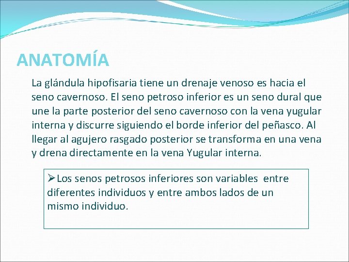 ANATOMÍA La glándula hipofisaria tiene un drenaje venoso es hacia el seno cavernoso. El ANATOMÍA La glándula hipofisaria tiene un drenaje venoso es hacia el seno cavernoso. El
