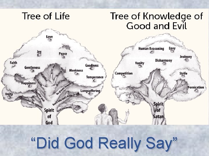 “Did God Really Say” 