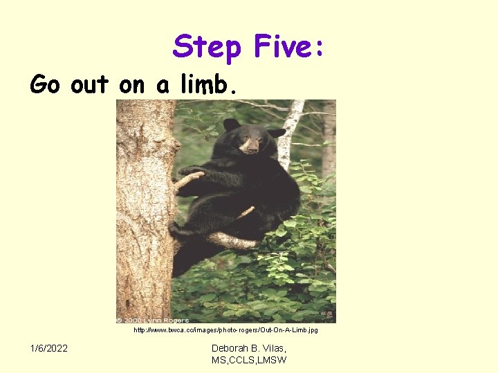 Step Five: Go out on a limb. http: //www. bwca. cc/images/photo-rogers/Out-On-A-Limb. jpg 1/6/2022 Deborah