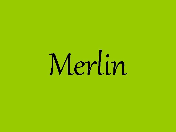 Merlin 