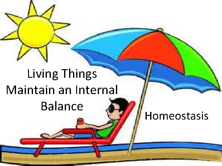 Living Things Maintain an Internal Balance Homeostasis 