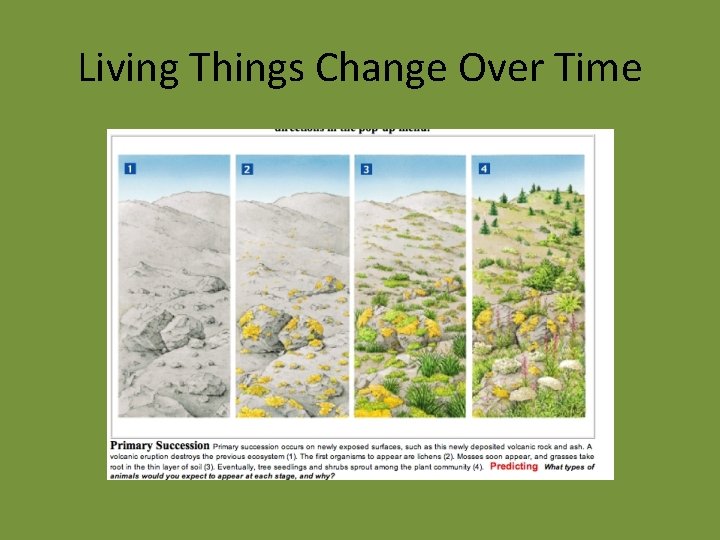 Living Things Change Over Time 