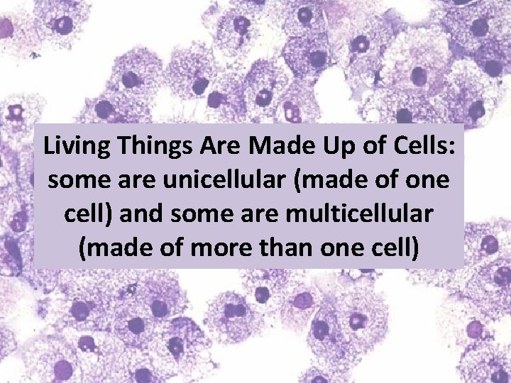 Living Things Are Made Up of Cells: some are unicellular (made of one cell)