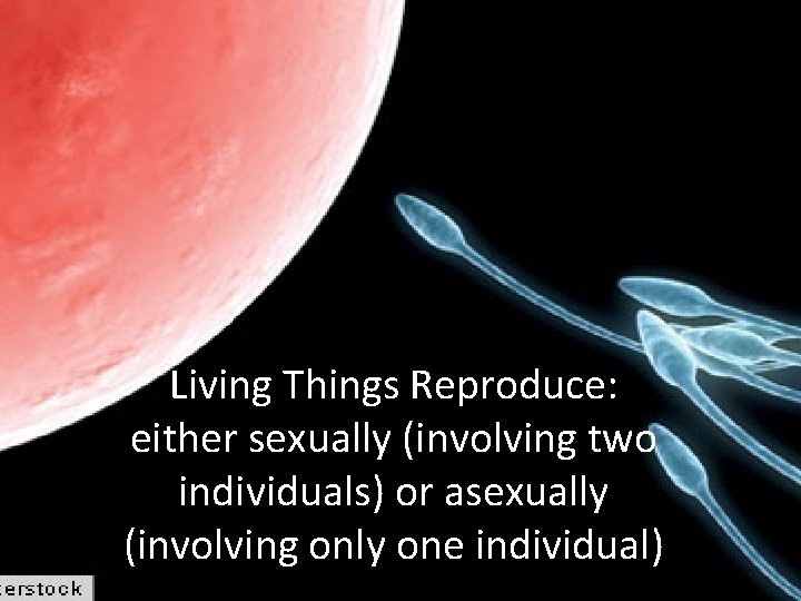 Living Things Reproduce: either sexually (involving two individuals) or asexually (involving only one individual)
