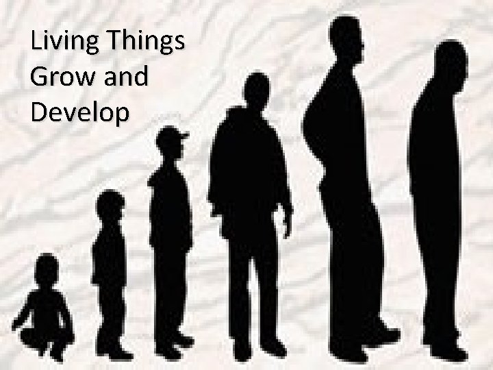 Living Things Grow and Develop 
